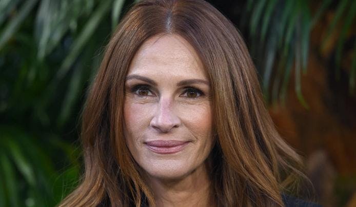 a picture of Julia Roberts