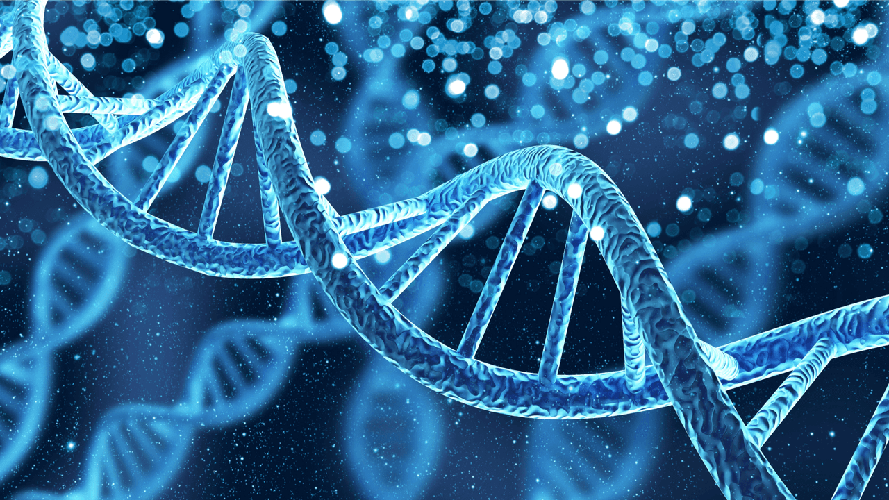 Image for Is Intelligence Inherited? The Heritability of IQ Explained