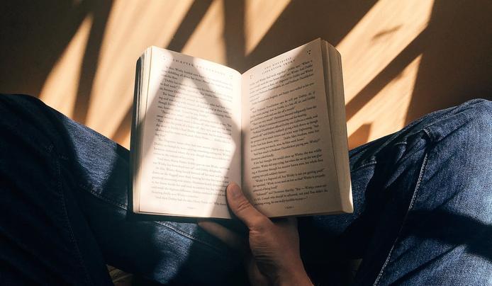 A person reading a book